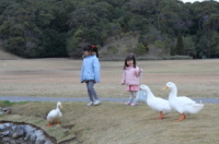 ブルーベリーヒル勝浦